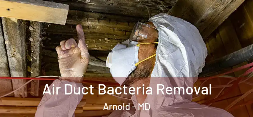 Air Duct Bacteria Removal Arnold - MD