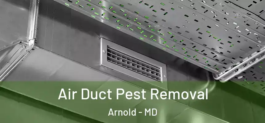  Air Duct Pest Removal Arnold - MD