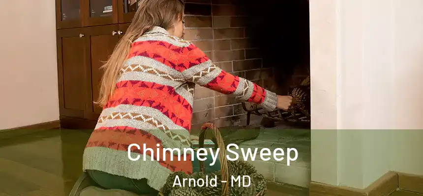Chimney Sweep Arnold - MD