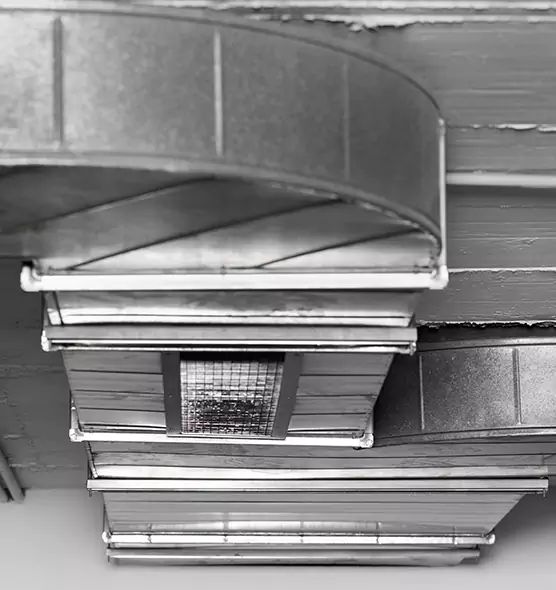 Professional Air Duct Pet Hair Removal in Arnold, MD