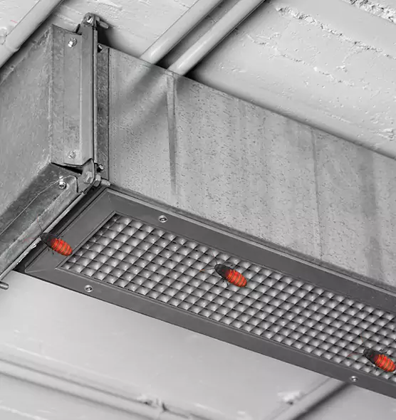 Affordable Insect Removal from Air Ducts in Arnold, MD