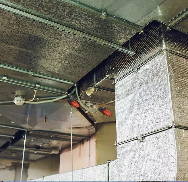 Why Homeowners & Businesses Trust Us in Arnold, MD?