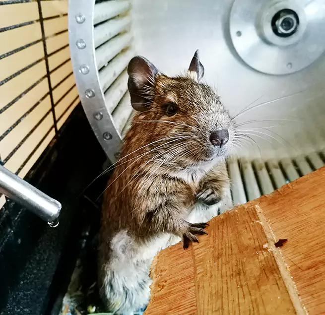 Why Homeowners & Businesses Trust Us Arnold, MD