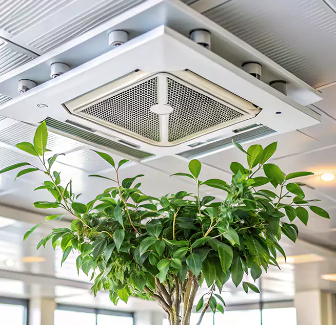 Why Homeowners & Businesses Trust Us in Arnold, MD?